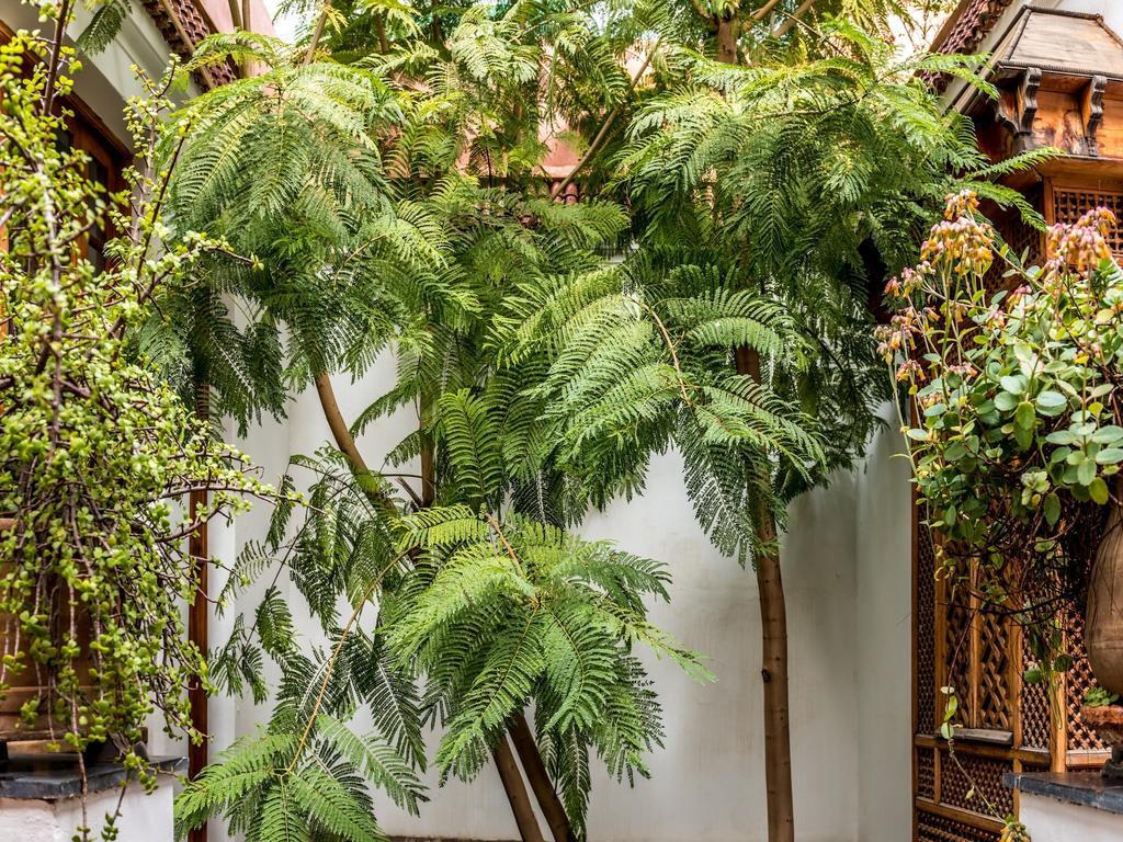 Riad Les Trois Cours Marrakesh Eksteriør billede